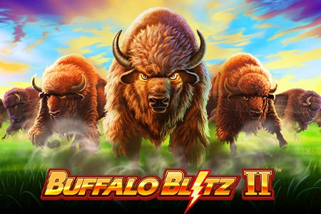 Buffalo Blitz 2